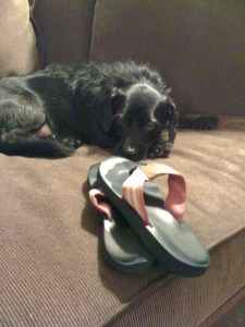 peanut and flip flops