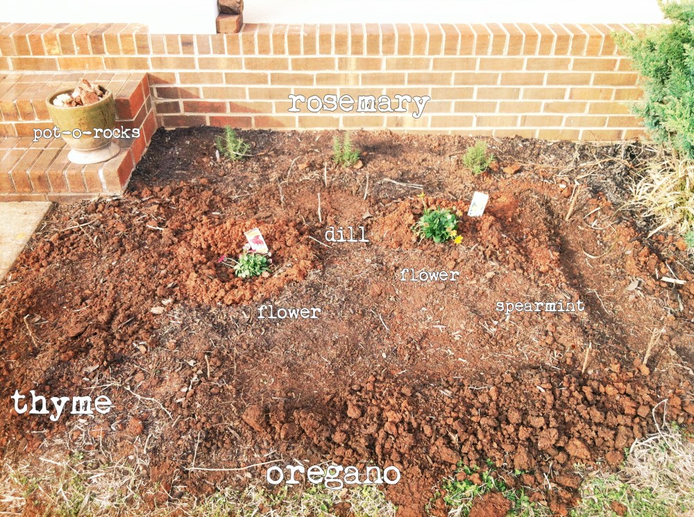 BeFunky_main garden.jpg