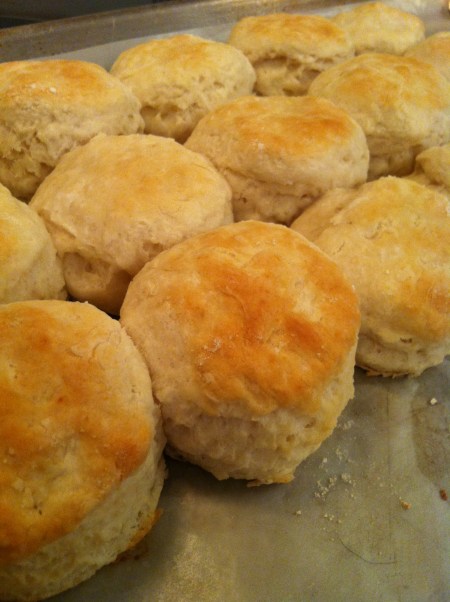 biscuits