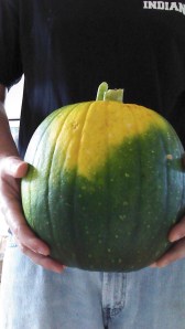 IMG_20140701_085242_148