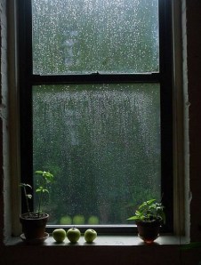 photo from weheartit.com