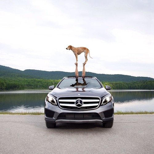 photo by Theron Humphrey