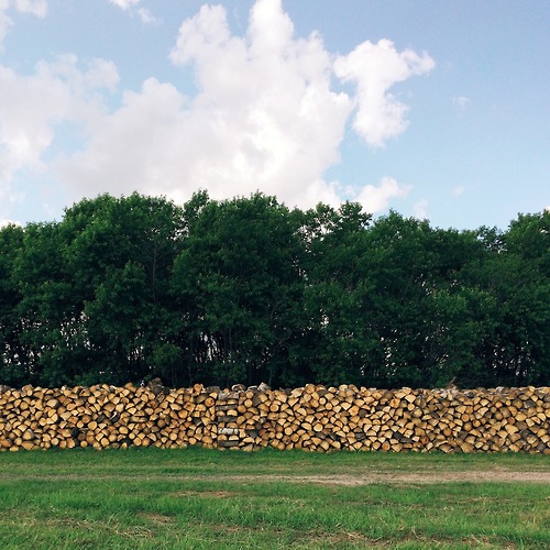 photo by Andrew Knapp