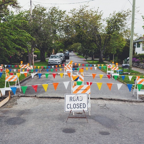 photo by Andrew Knapp