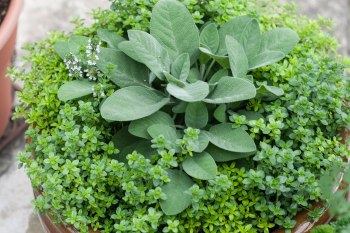 photo from dirtylaundrykitchen.com